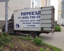 Перевозка домашних растений из Болшево в Мытищи 3